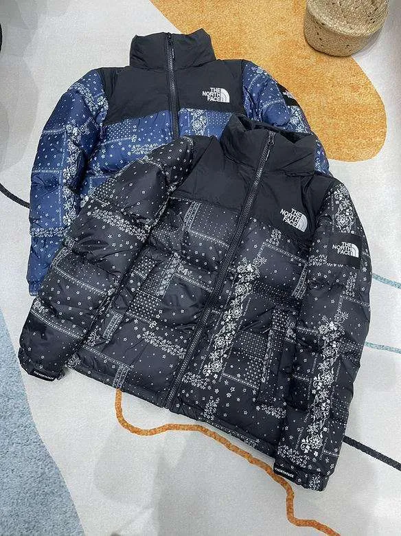 Chaqueta TNF – Snow Details